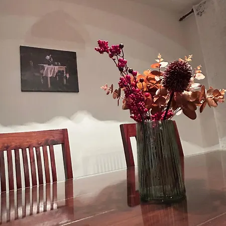 Villa Domus Est Alba *